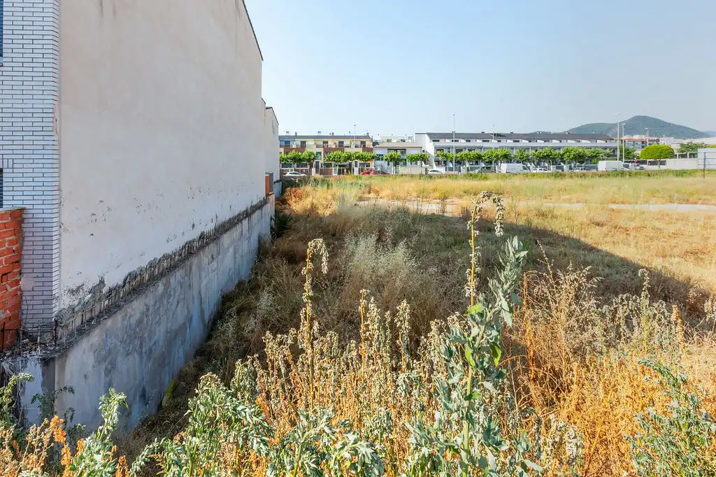 Rural land for sale in C/ Alquerías, imagen 20