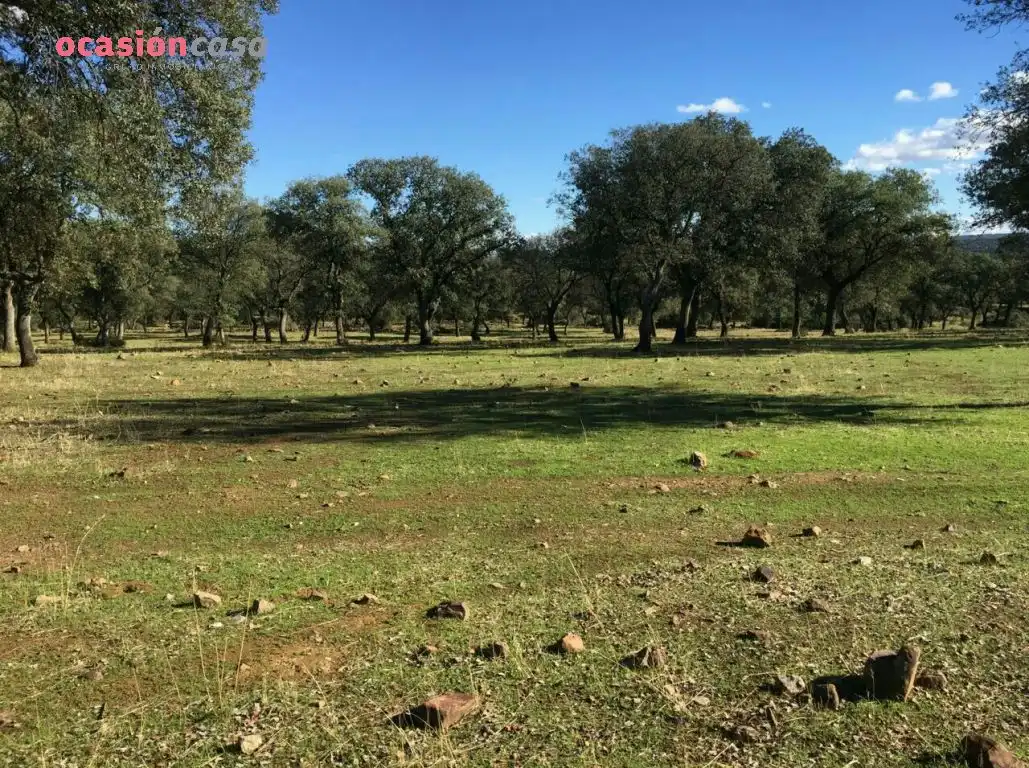Country homes for sale in Torrecampo