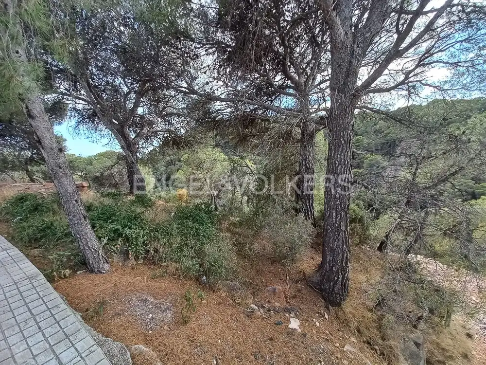 Lands and plots for sale in Serra, imagen 16