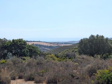 Rustikales Grundstück zum Verkauf in Casares 10