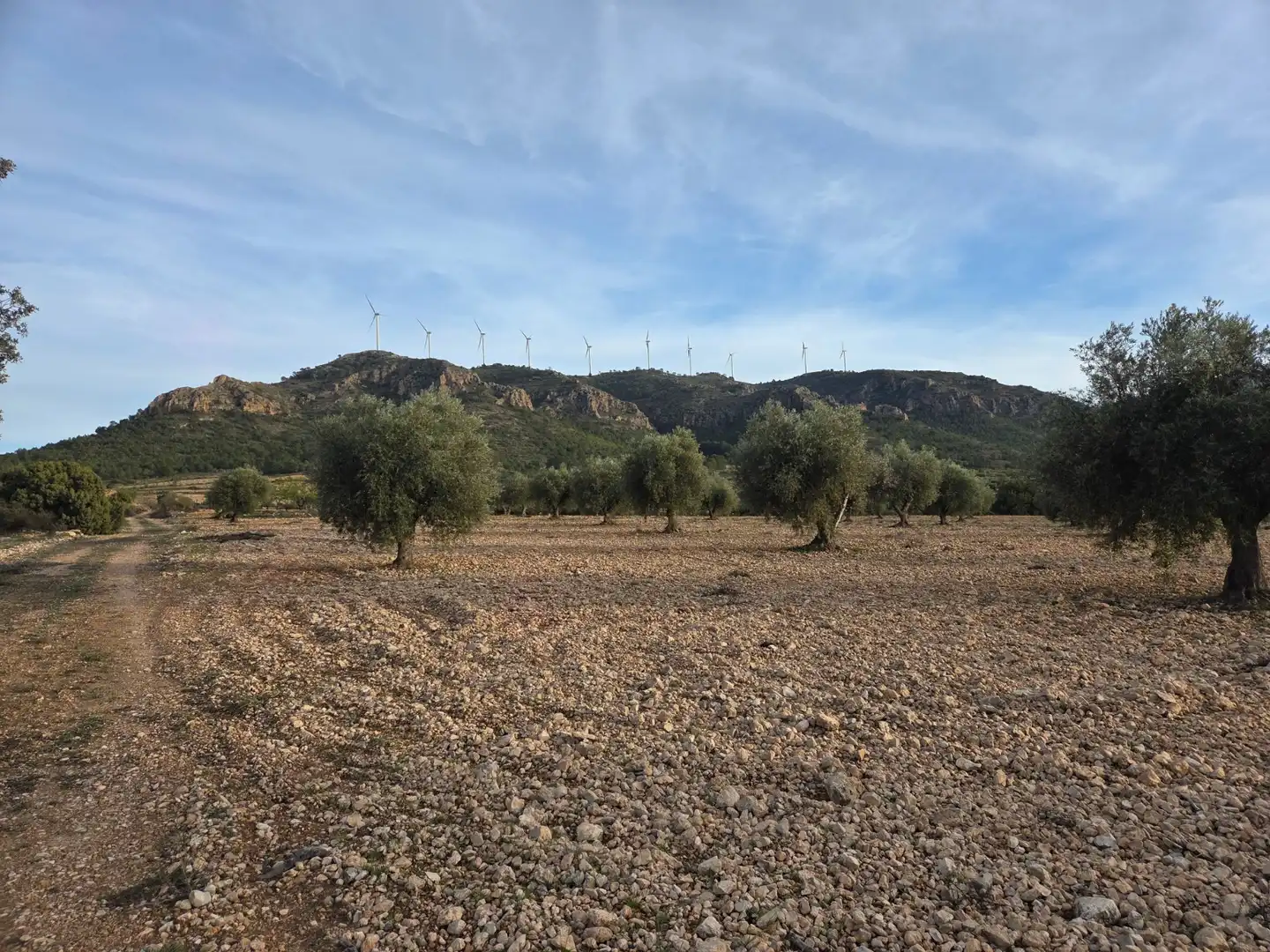 Terreny residencial en venda a Jumilla
