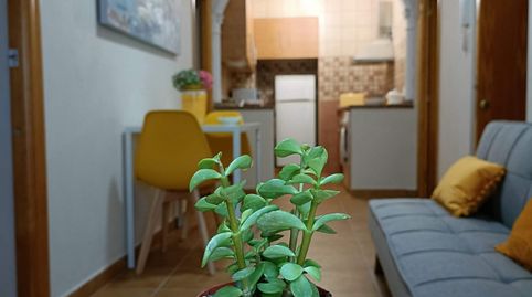 Foto 5 de Finca rústica de alquiler en Vejer, Vejer de la Frontera