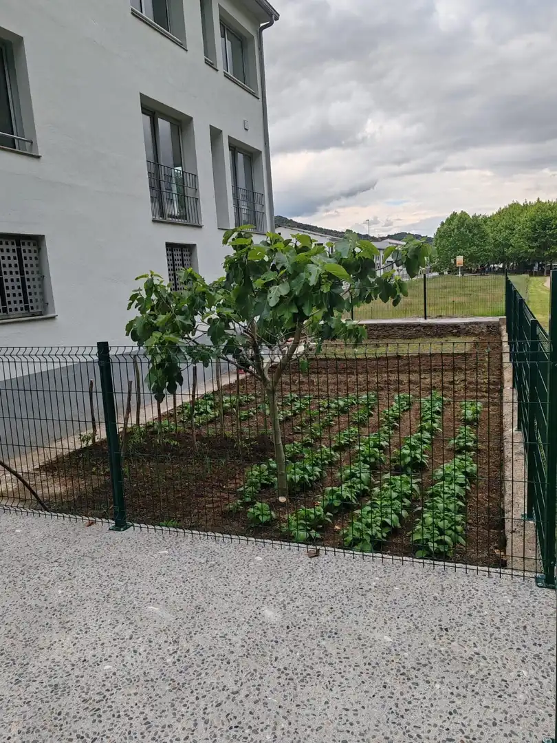 Jardín de Casa o chalet en venta en Sant Feliu de Pallerols con Parquet