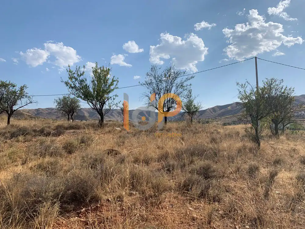 Terreny rústic en venda a Zurgena, imagen 9