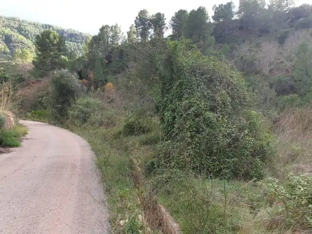 Residencial en venta en Polígono 23. Parcela, Bicorp