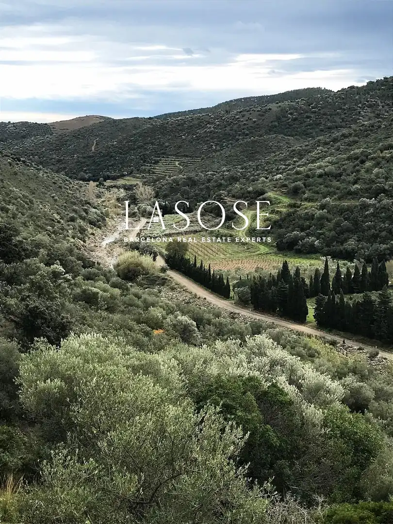 Finca rústica en venta en MOLINAS, Colera