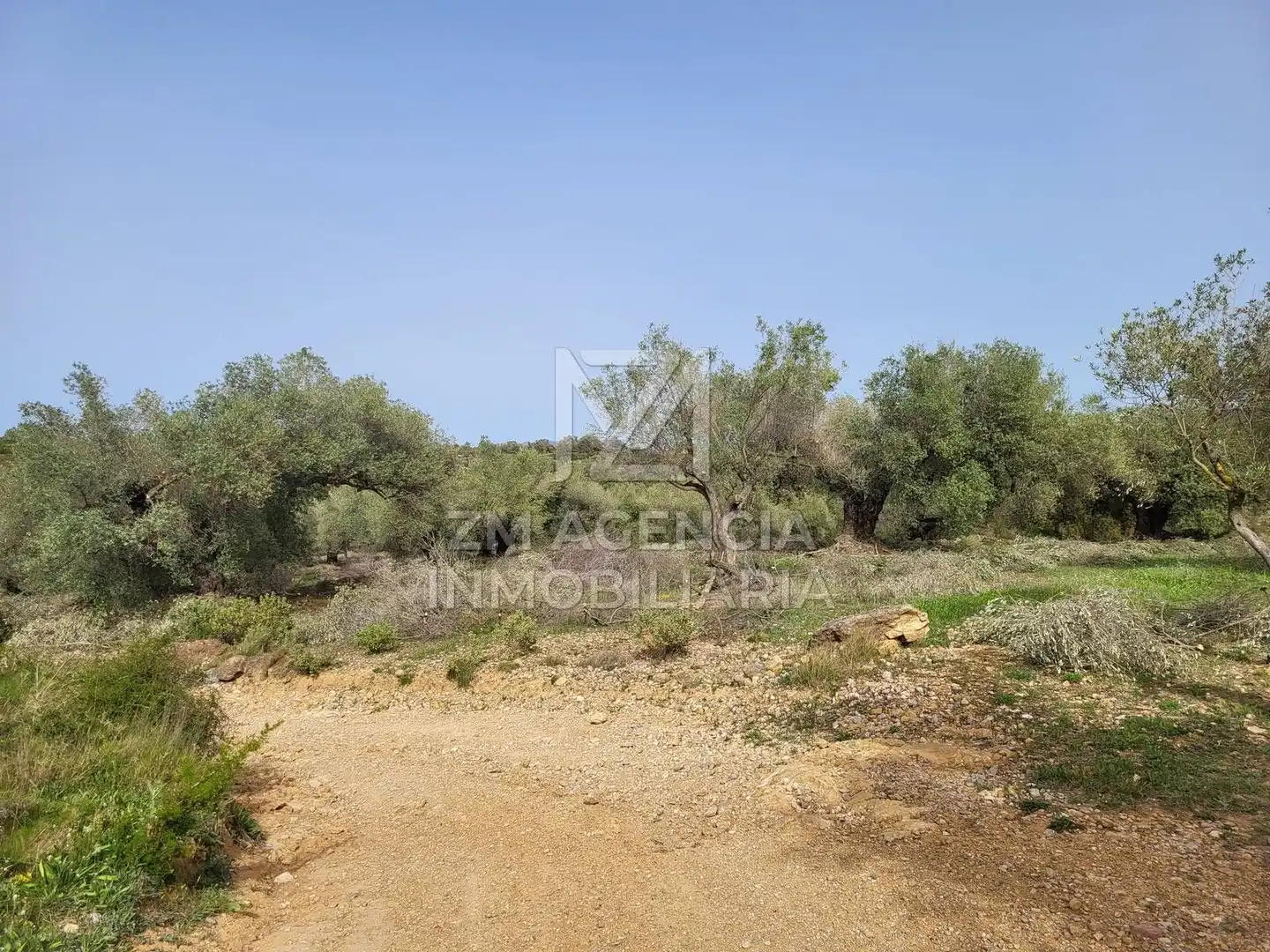 Terreno rustico in vendita a Corral de la Culla, imagen 2