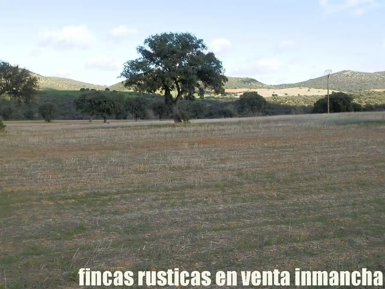 Terreny rústic en venda a Viso del Marqués, imagen 7