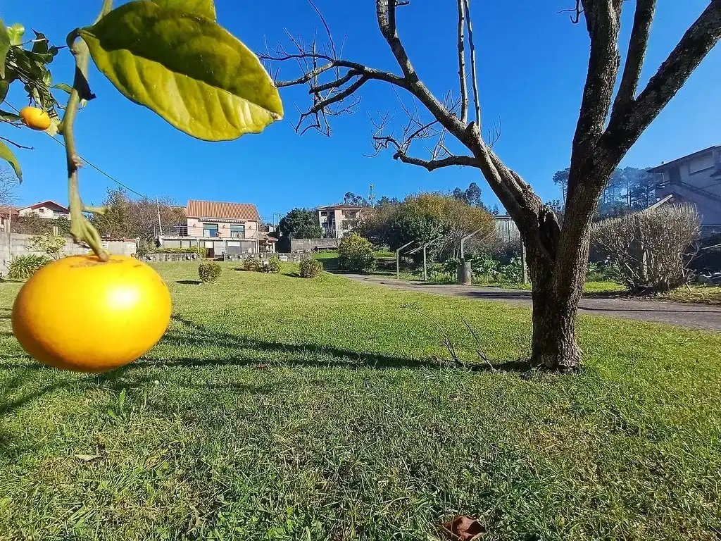 Terreni e lotti in vendita a Camino Petón, imagen 22