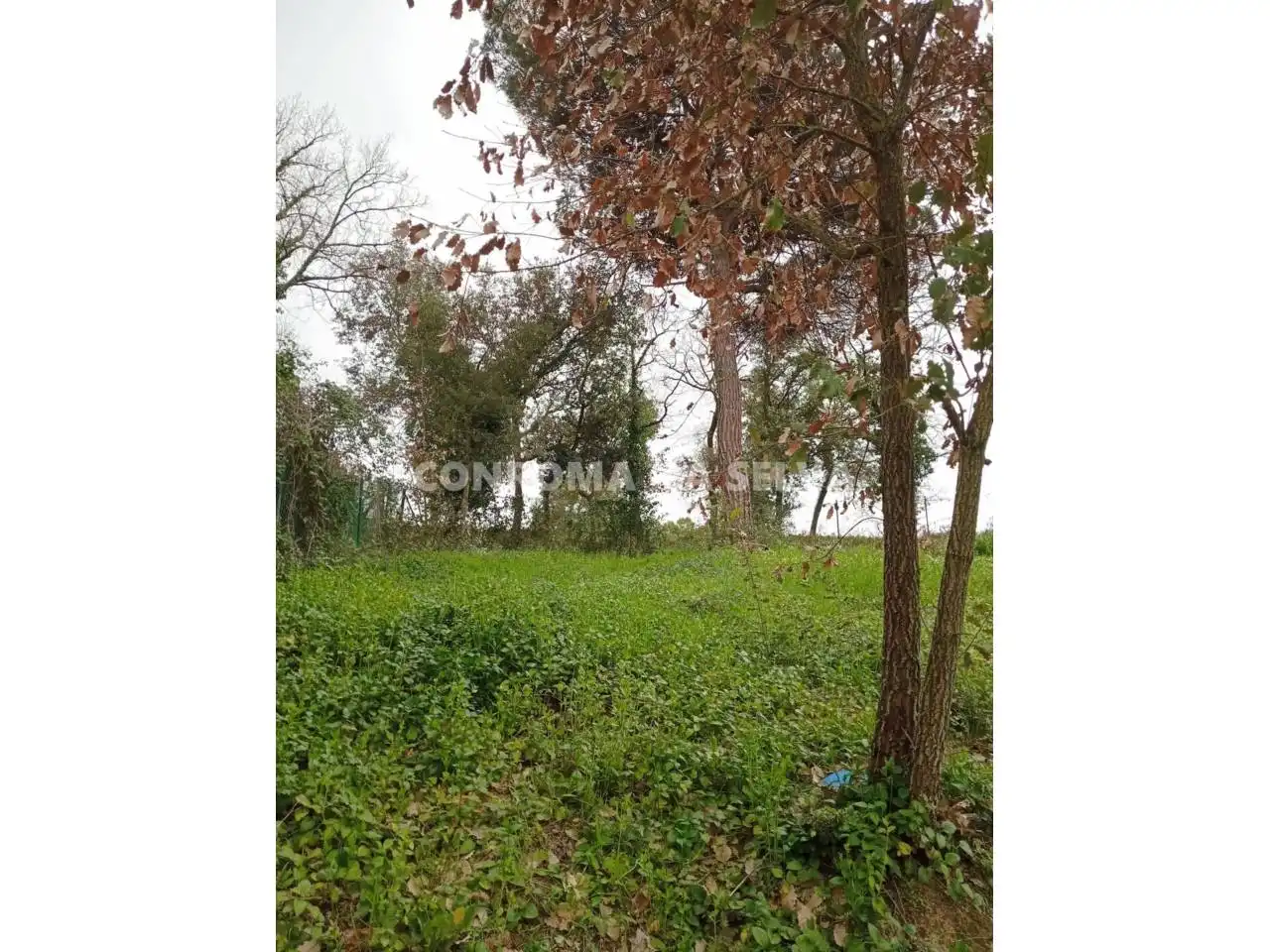 Wohnbaugrundstück zum Verkauf in Residencial Park, imagen 3