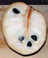 Terreno en Venta en Calle Aduana en Motril  ciudad