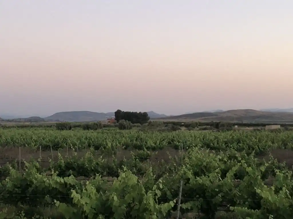 Terreni e lotti in vendita a Tobarra, imagen 3