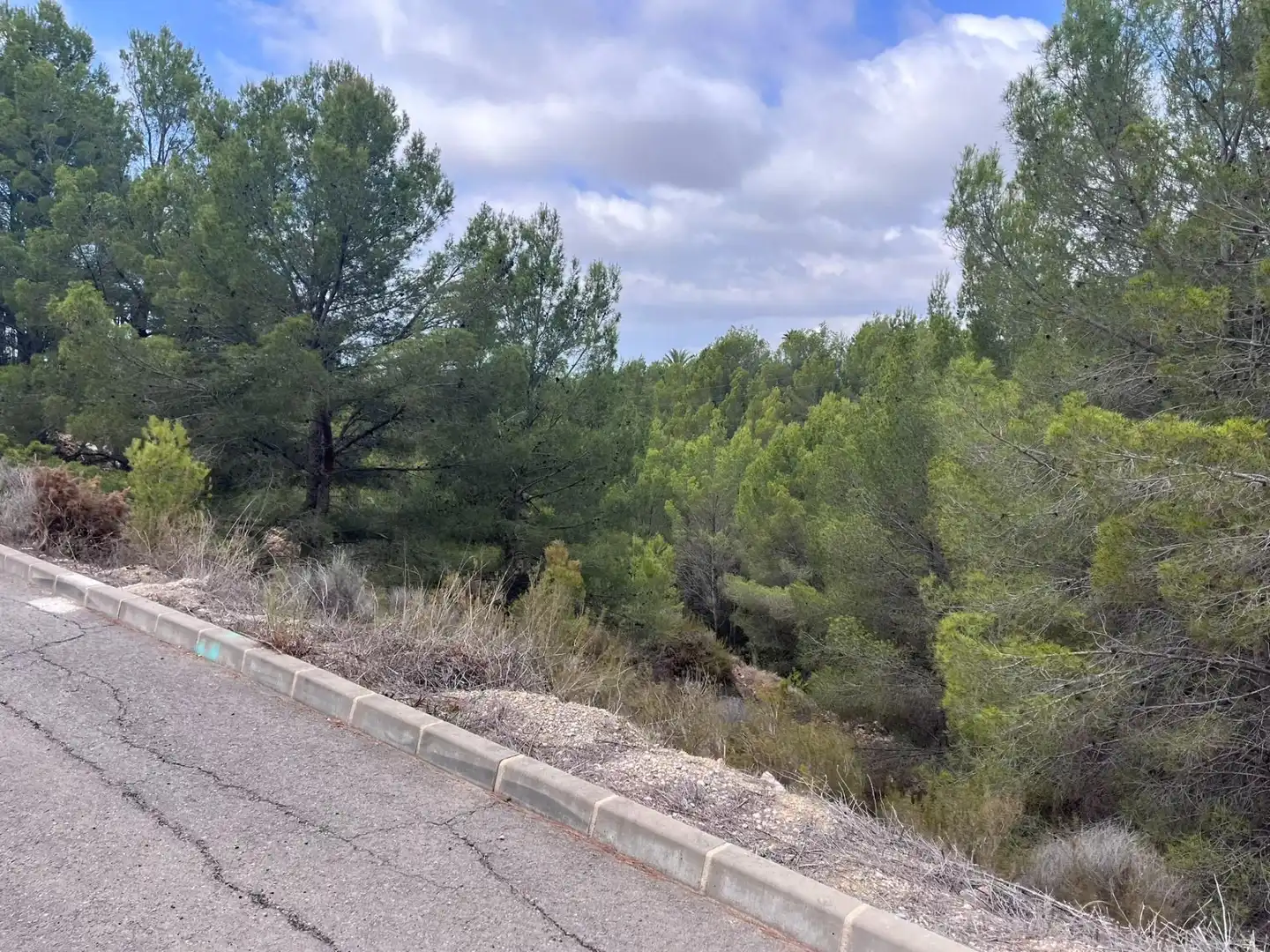 Terrenys i solars en venda a Callosa d'en Sarrià, imagen 3