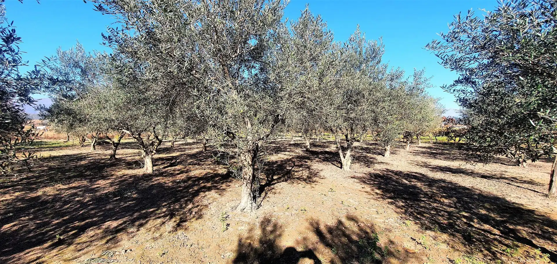 Terreno en venta en Losar de la Vera, Cáceres
