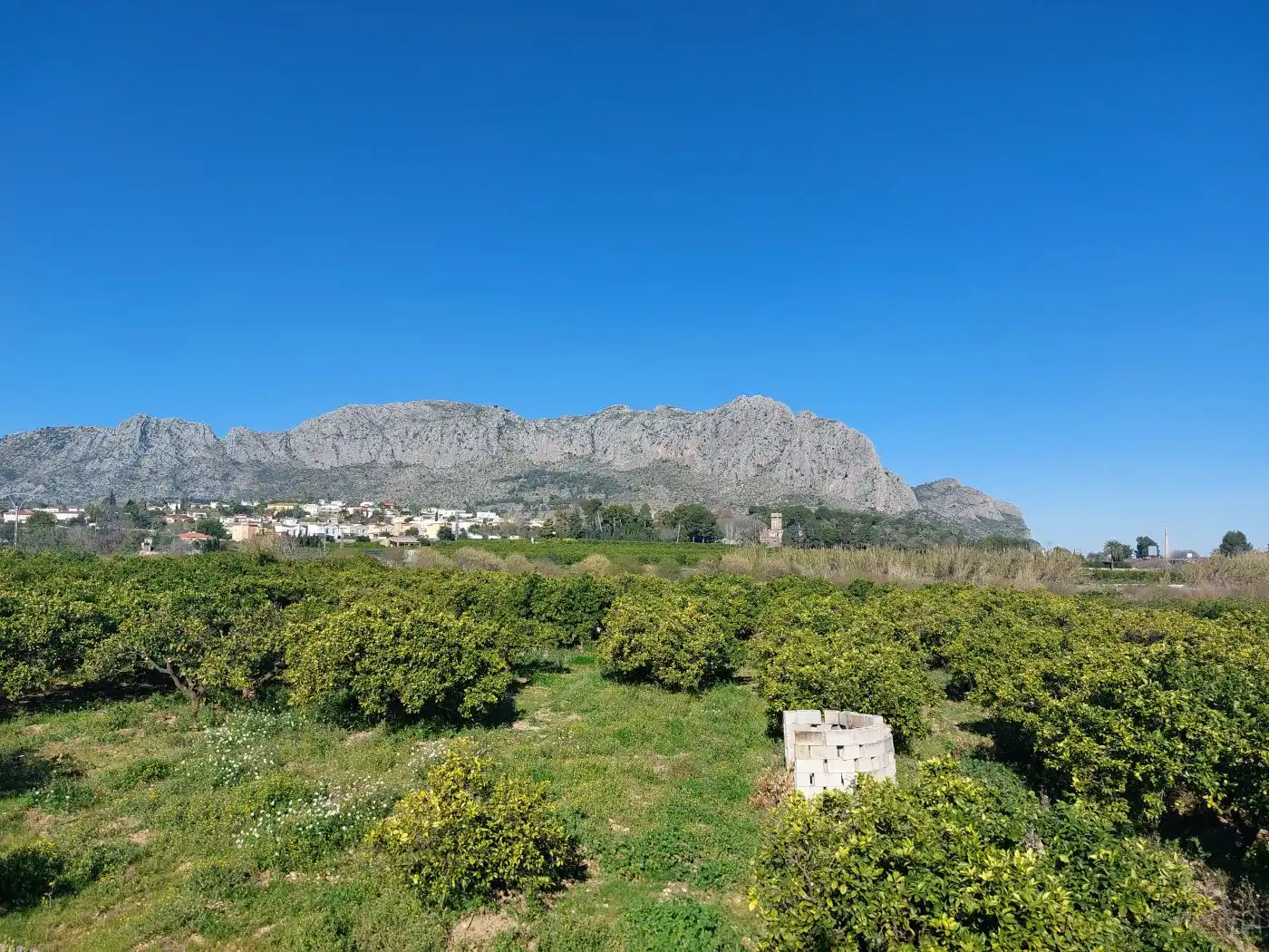 Rural land for sale in Beniarbeig, imagen 10