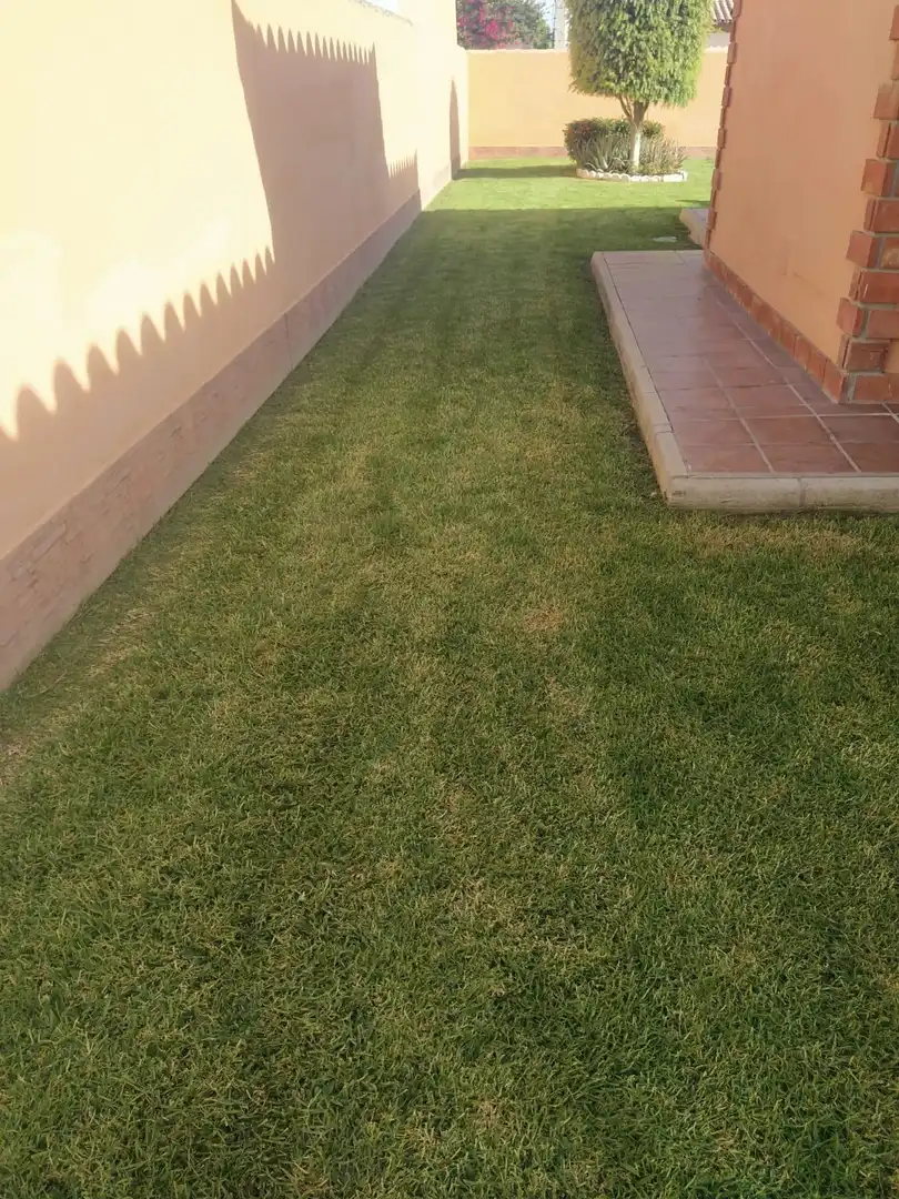 Detached house with garden for sale in Camino Camino del Pozo Boyal, imagen 22