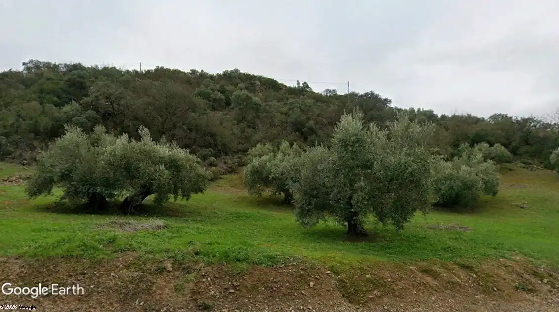 Terreny rústic en venda a Martos, imagen 6