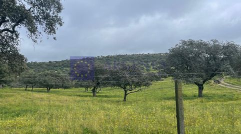 Foto 3 de Finca rústica en venta en Aliseda, Cáceres
