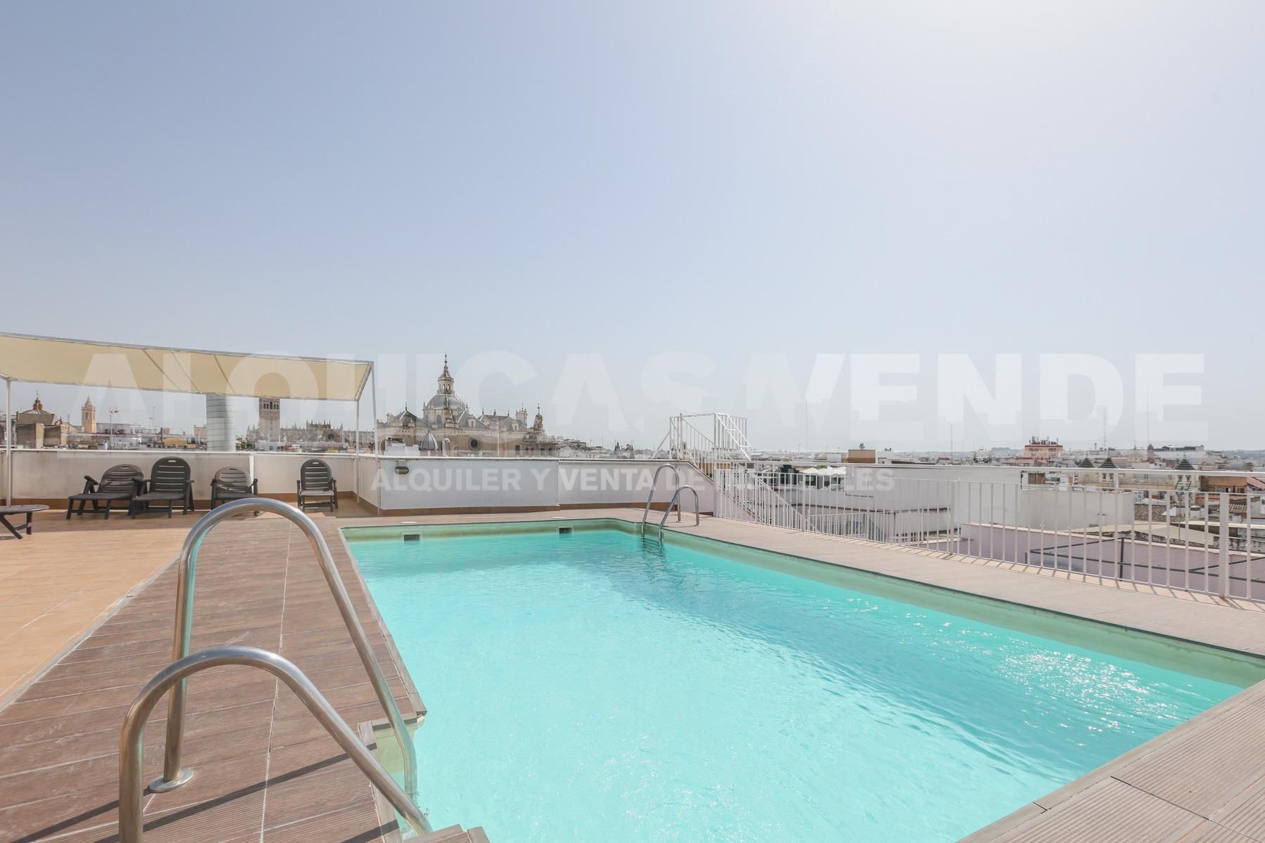 Swimming pool of Flat to rent in  Sevilla Capital  with Air Conditioner, Heating and Parquet flooring