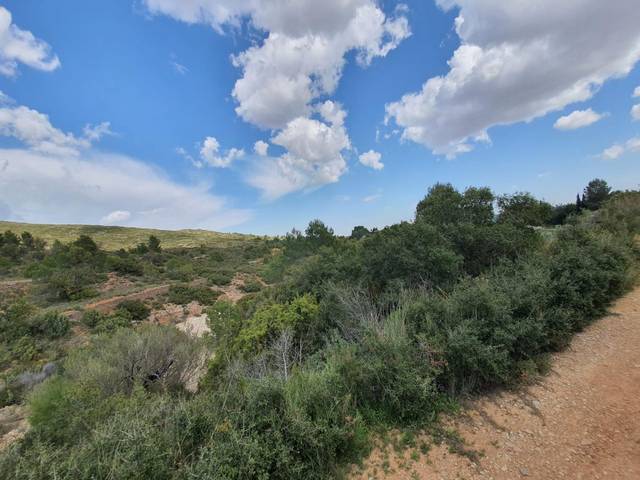 Terreno en Venta en Buñol