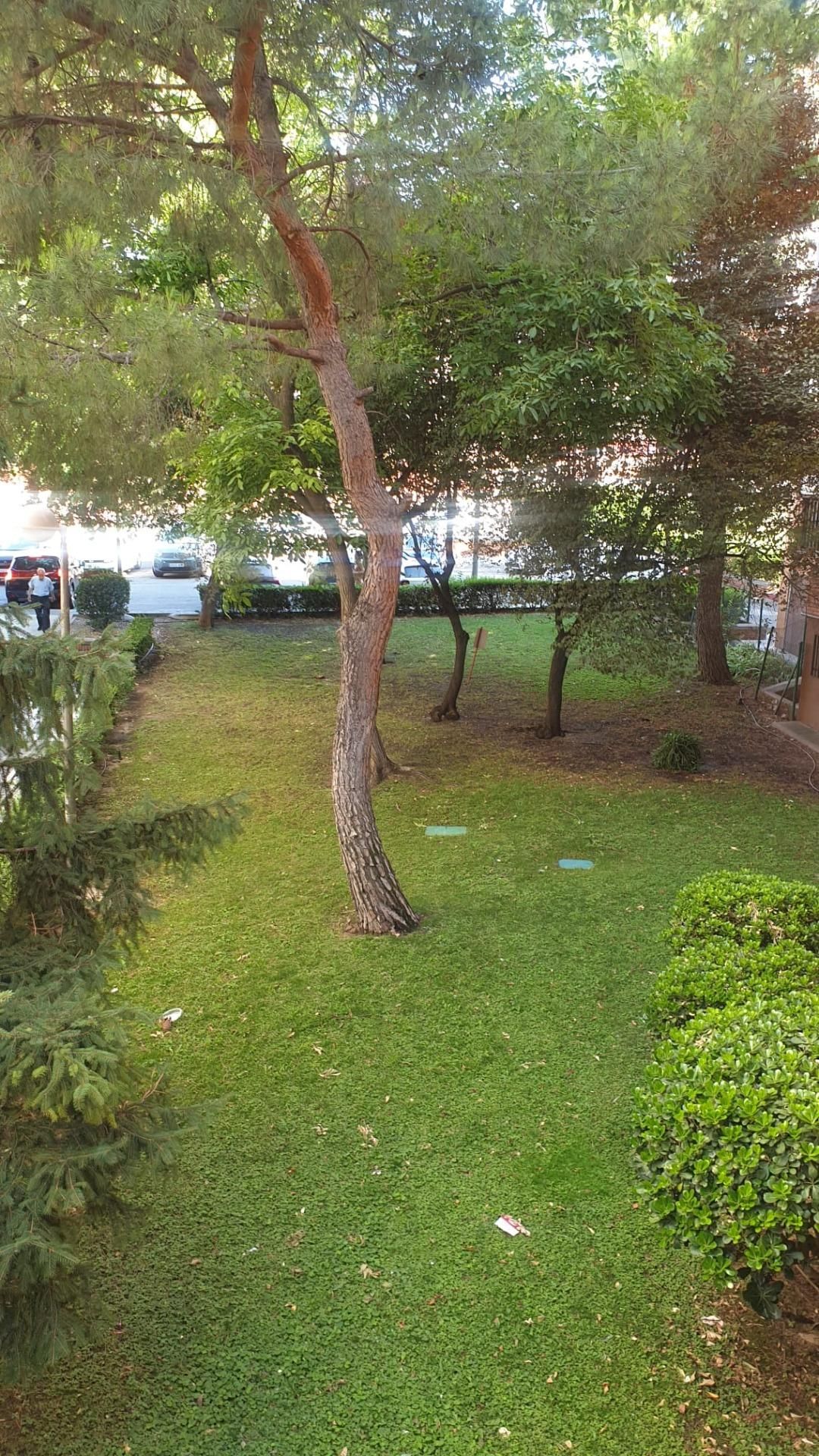 Garden of Apartment for sale in  Madrid Capital  with Air Conditioner, Heating and Private garden
