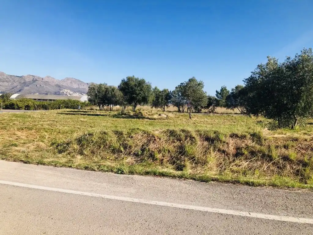Terreny rústic en venda a Orba