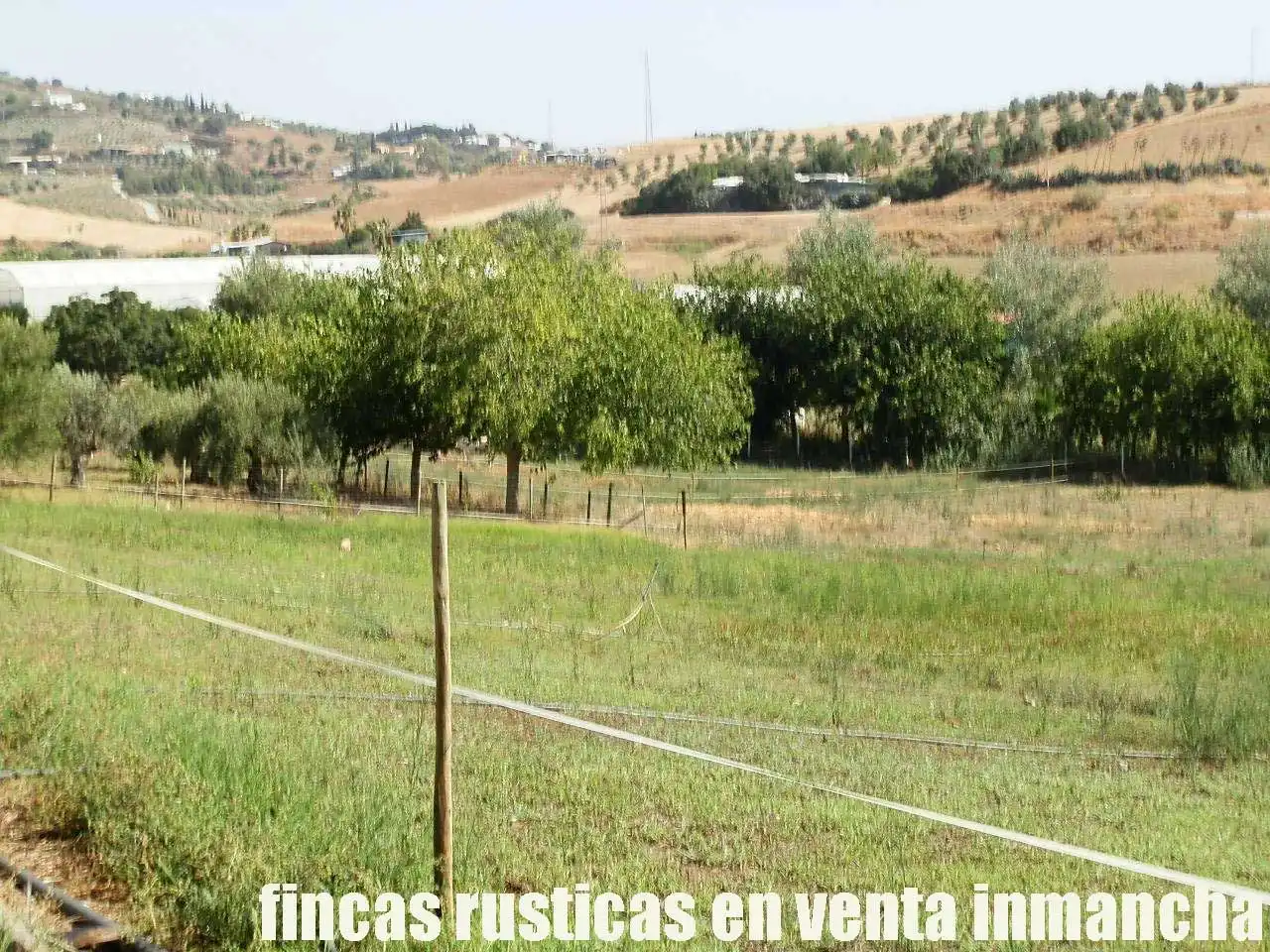 Terreni e lotti in vendita a Pizarra, imagen 17