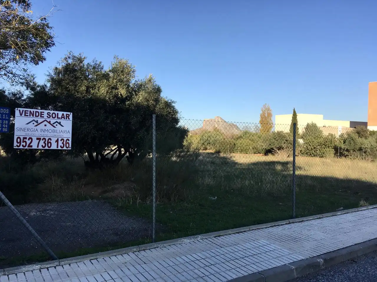 Lands and plots for sale in Poeta Muñoz Rojas, imagen 3