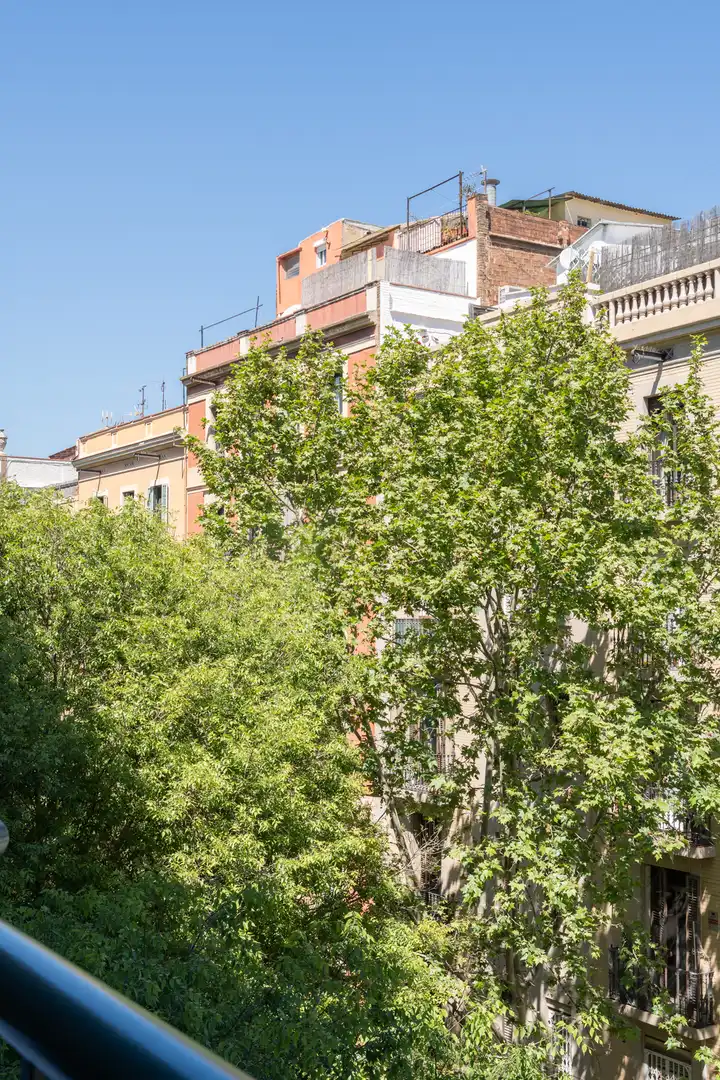 Pis amb ascensor en venda a Carrer de Viladomat 5, imagen 4