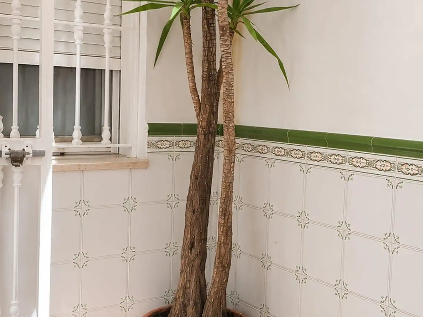Jardí de Casa o xalet en venda en Huelva amb Aire condicionat i Traster