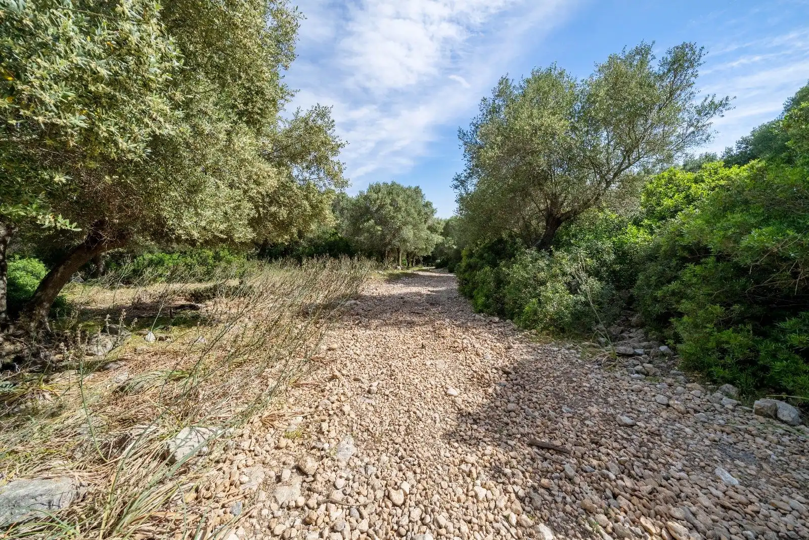 Terreny residencial en venda a Ciutat d'Alcúdia, imagen 8