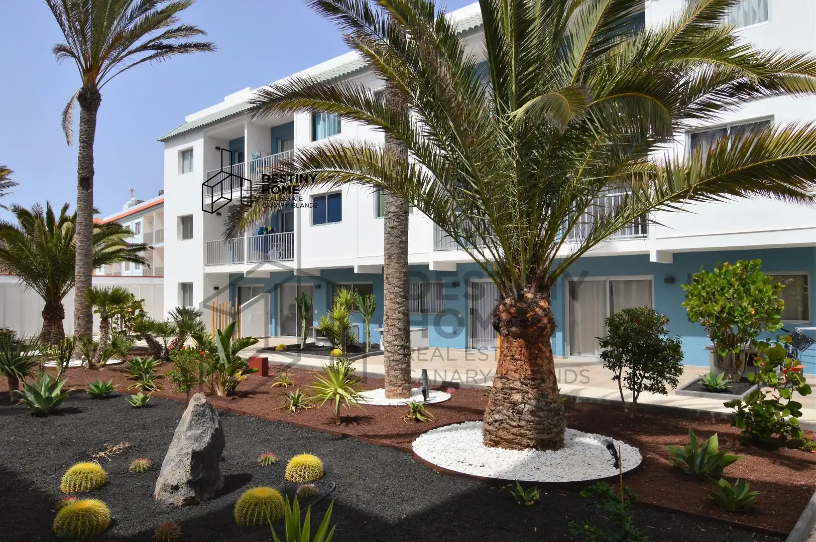 Exterior view of Apartments for sale in La Oliva  with Furnished and Community pool