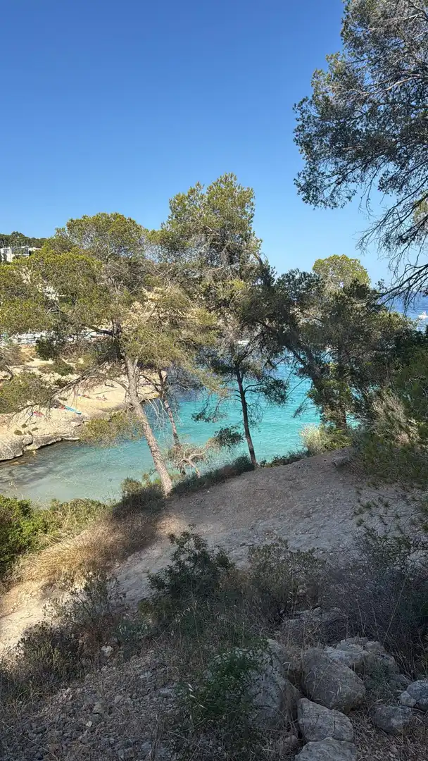 Apartamento en venta en Calvià con Aire acondicionado, Terraza y Amueblado