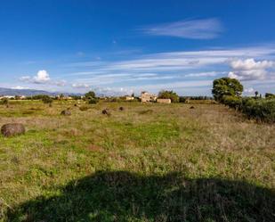 Finca rústica en venda en  Palma de Mallorca