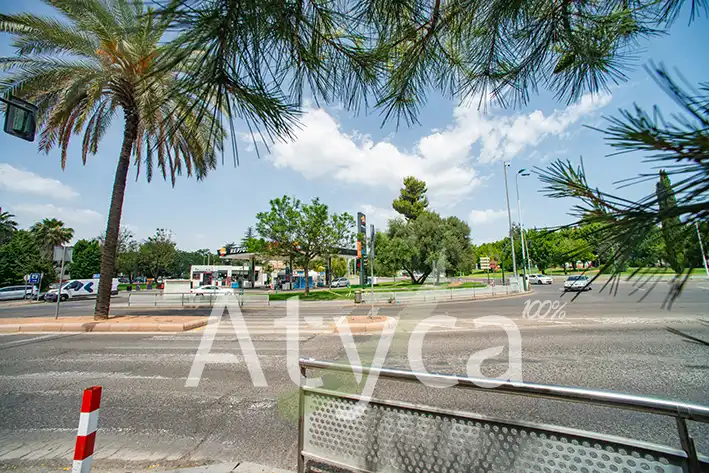Vista exterior de Pis de lloguer en Córdoba amb Aire condicionat, Calefacció i Jardí privat