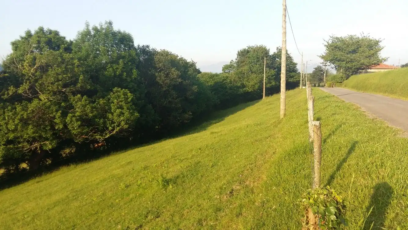 Terrenos y solares en venta en Piloña, imagen 2