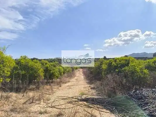 Terreny rústic en venda a Vallés, imagen 18