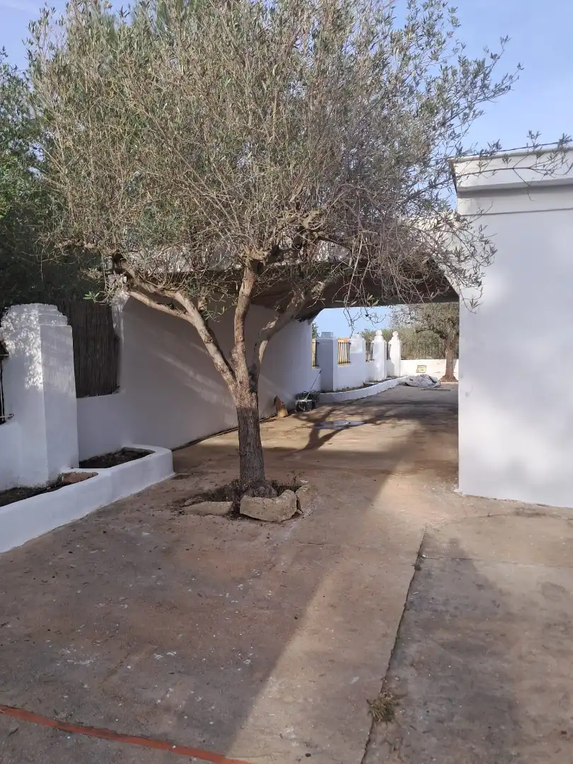 Garden of Houses for sale in Real  with Private garden, Terrace and Swimming Pool