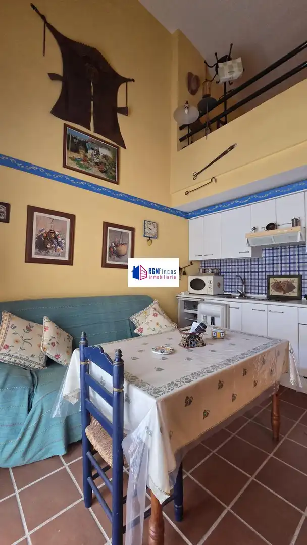 Duplex con terrazza in vendita a El Rocío, imagen 5