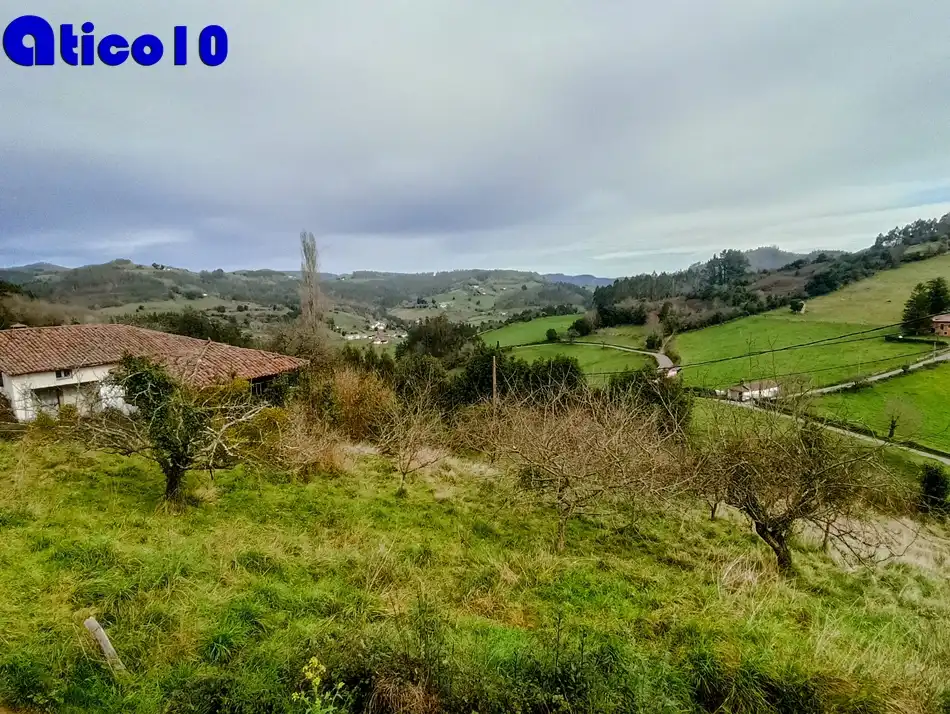 Casa o chalet en venta en Boal con Calefacción y Amueblado