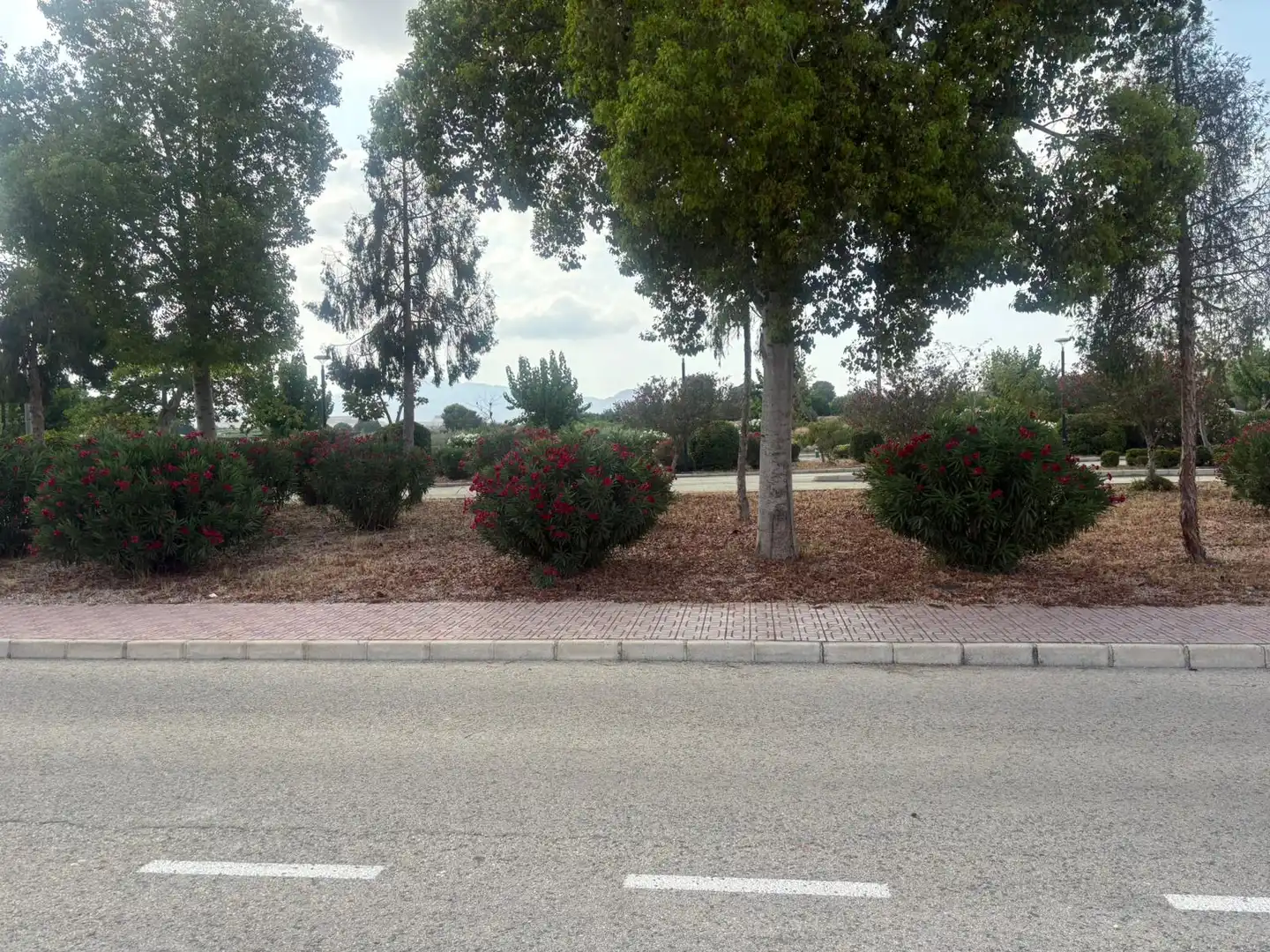 Wohnbaugrundstück zum Verkauf in Calle Diego Martínez Peñalver 16, imagen 4