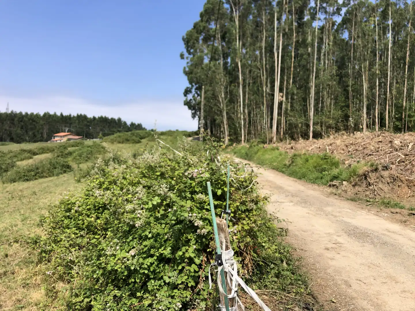 Finca rústica en venta en N/A, -1, Villaescusa (Cantabria)