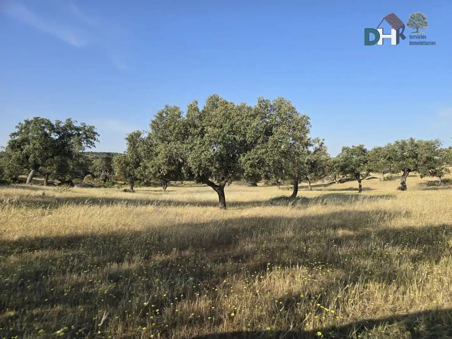 Terreni e lotti in vendita a San Roque - Ronda Norte, imagen 3