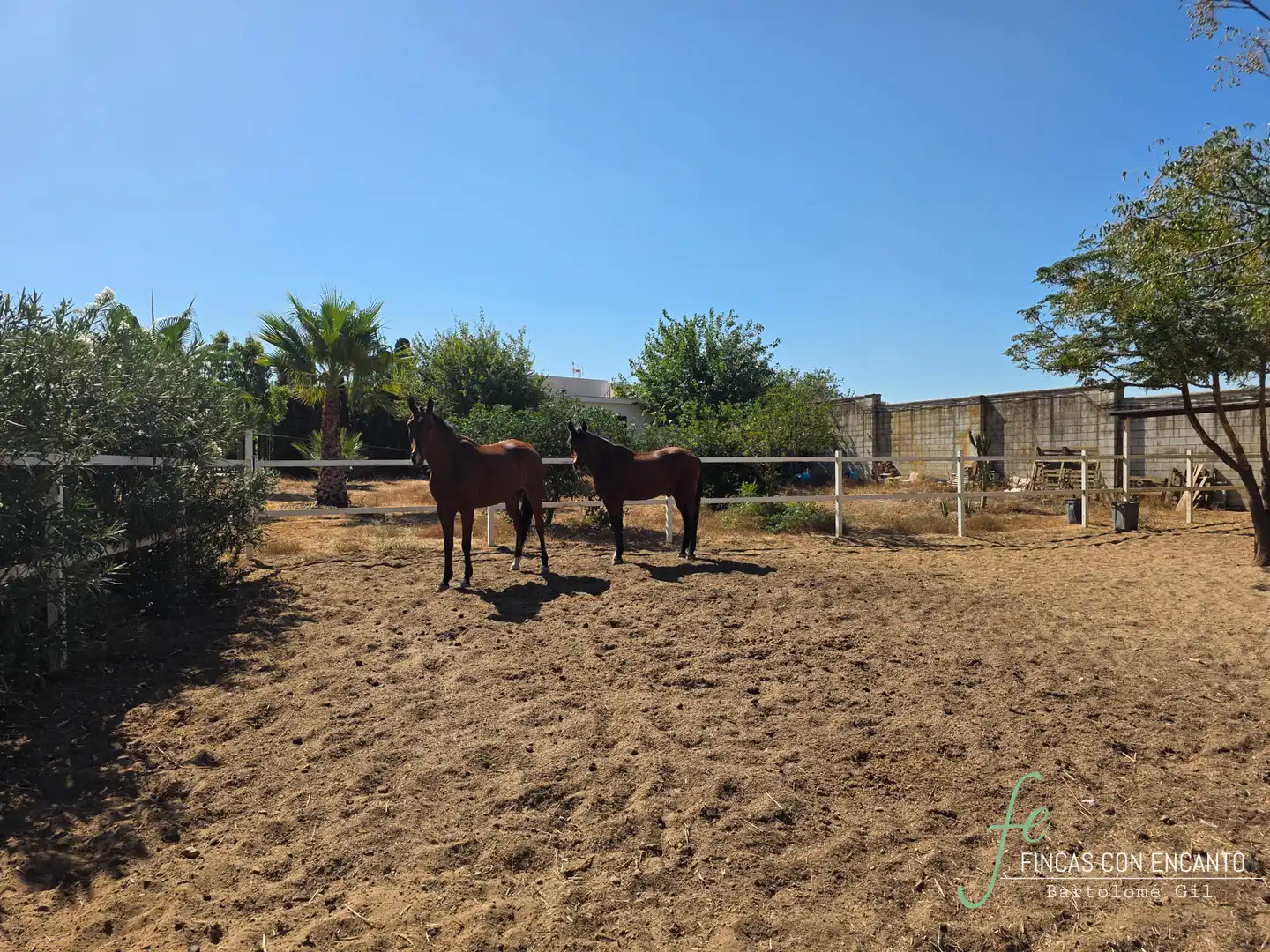 Casa amb piscina en venda a Oromana, imagen 14