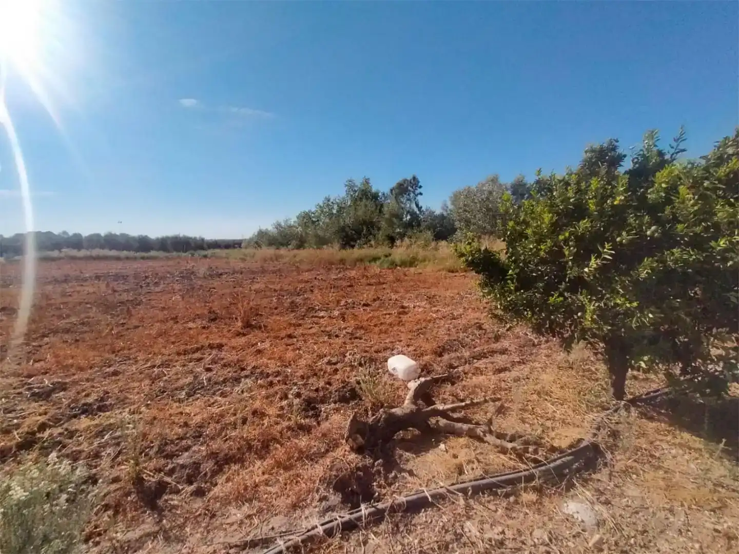 Finca rústica en venda en Marmolejo amb Aire condicionat i Piscina