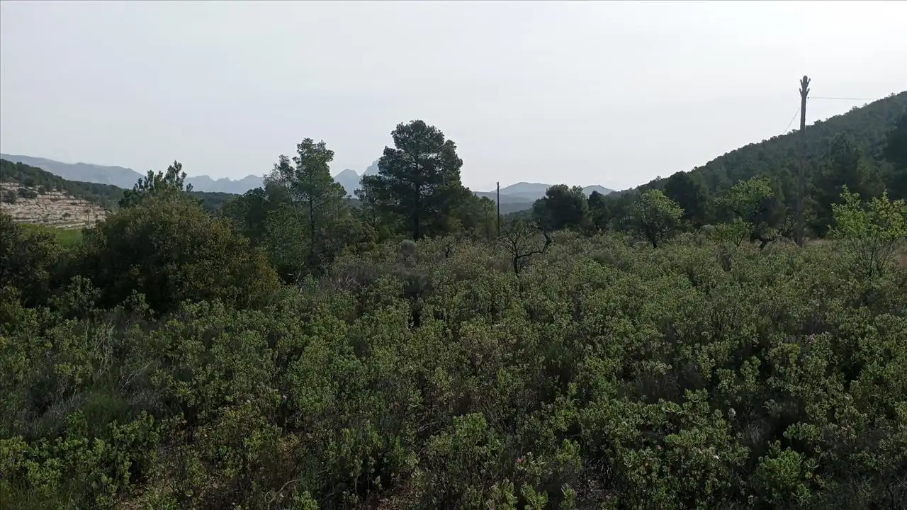Land for sale in Relleu