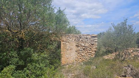 Foto 2 de Finca rústica en venta en Rasquera, Tarragona