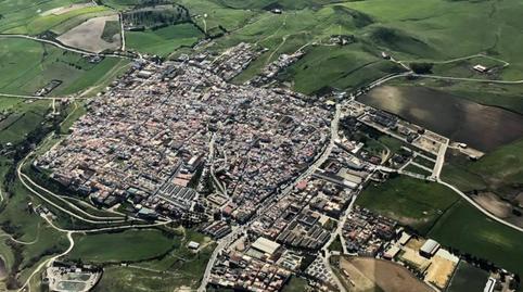 Photo 4 of Premises for sale in Paterna de Rivera, Cádiz