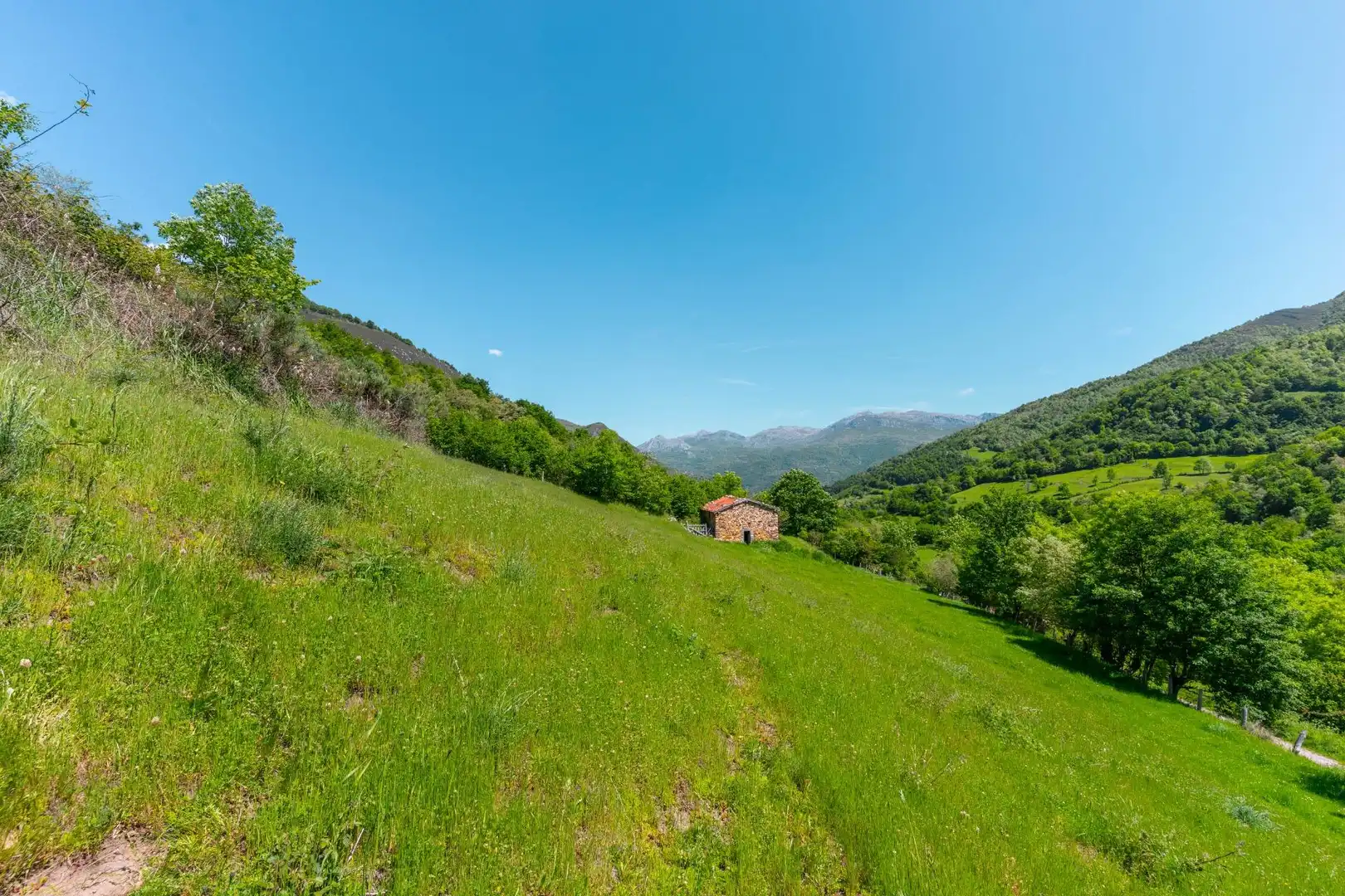 Casa o chalet en venta en Quirós