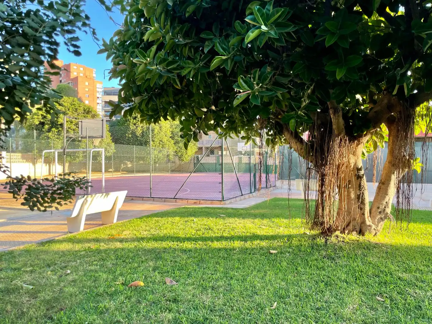 Apartment with pool to rent in Dr.Severo Ochoa 3, imagen 15
